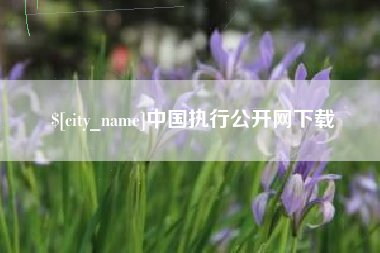 东阳中国执行公开网下载