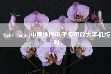 东阳中国地图电子版可放大手机版吗