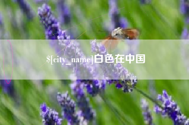东阳白色在中国