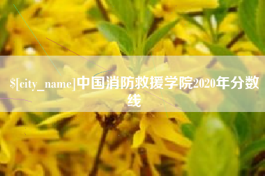 东阳中国消防救援学院2020年分数线