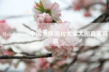 东阳中国金牌图片大全大图真实高清