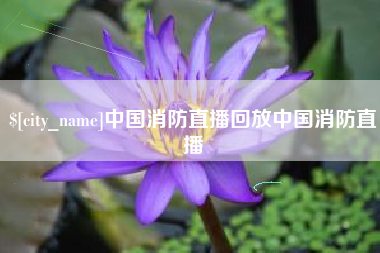 东阳中国消防直播回放中国消防直播