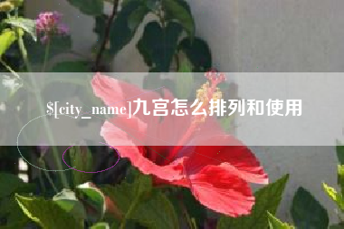 东阳九宫怎么排列和使用