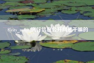 东阳执行信息公开网是干嘛的