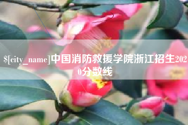 东阳中国消防救援学院浙江招生2020分数线