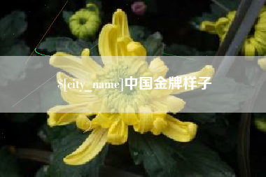 东阳中国金牌样子