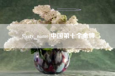 东阳中国第十个金牌