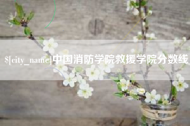 东阳中国消防学院救援学院分数线
