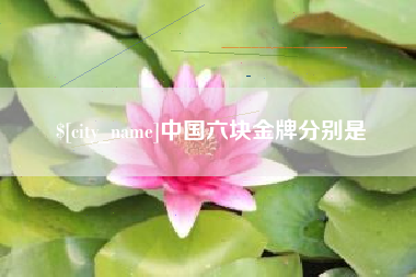 东阳中国六块金牌分别是