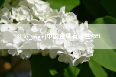 东阳中国金牌有哪些2021