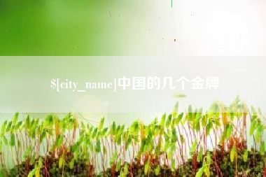 东阳中国的几个金牌