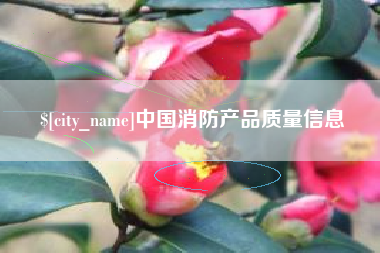 东阳中国消防产品质量信息