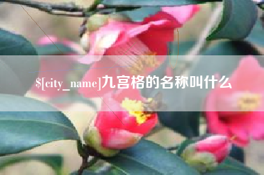 东阳九宫格的名称叫什么