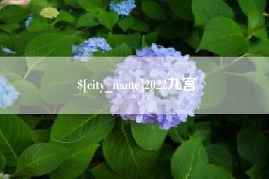 东阳2022九宫