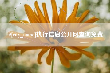 东阳执行信息公开网查询免费