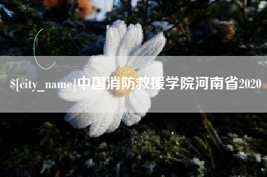东阳中国消防救援学院河南省2020